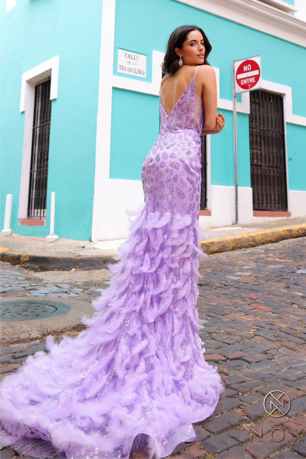 Nox Anabel -C1422 Sheer Bodice Sheath Dress With Feather Accent