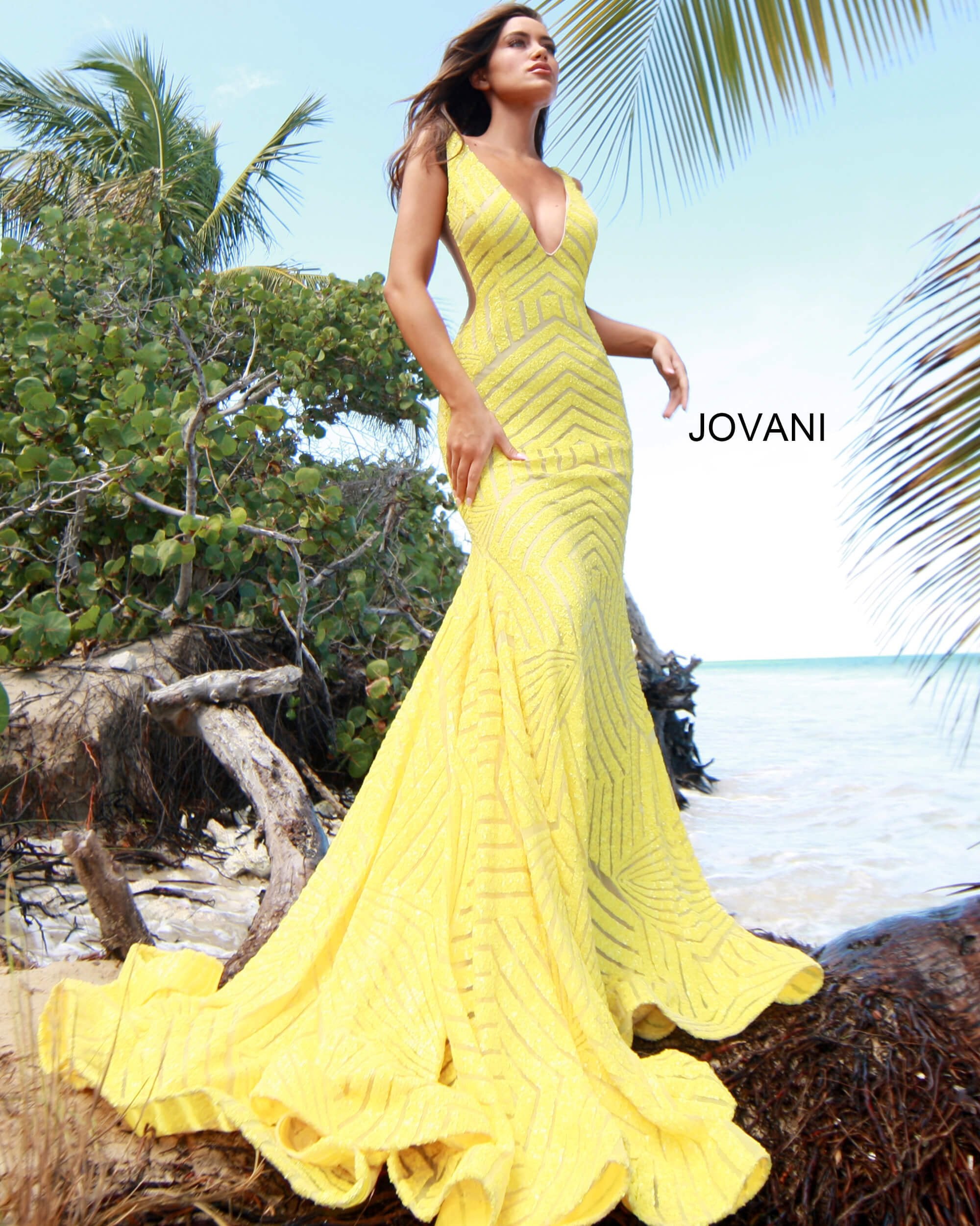 Embellished Low V Prom Dress By Jovani -59762B