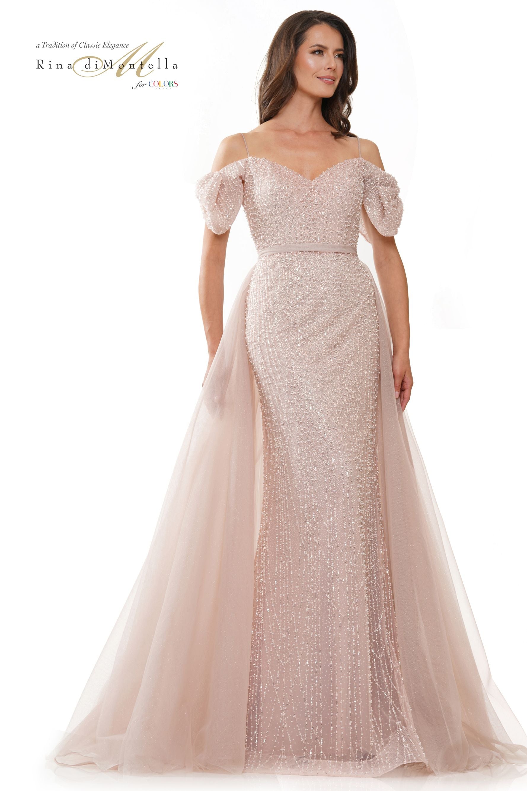 Rina Di Montella Tulle Beaded V-Neck Overskirt Dress -RD2942