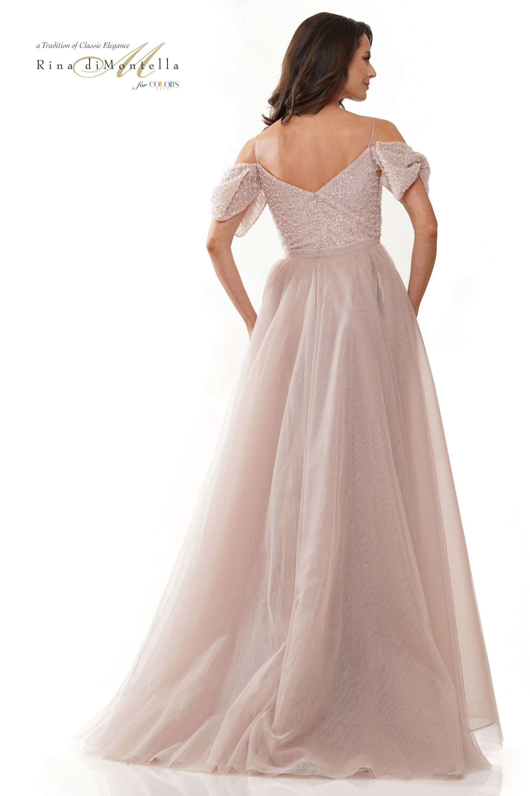 Rina Di Montella Tulle Beaded V-Neck Overskirt Dress -RD2942