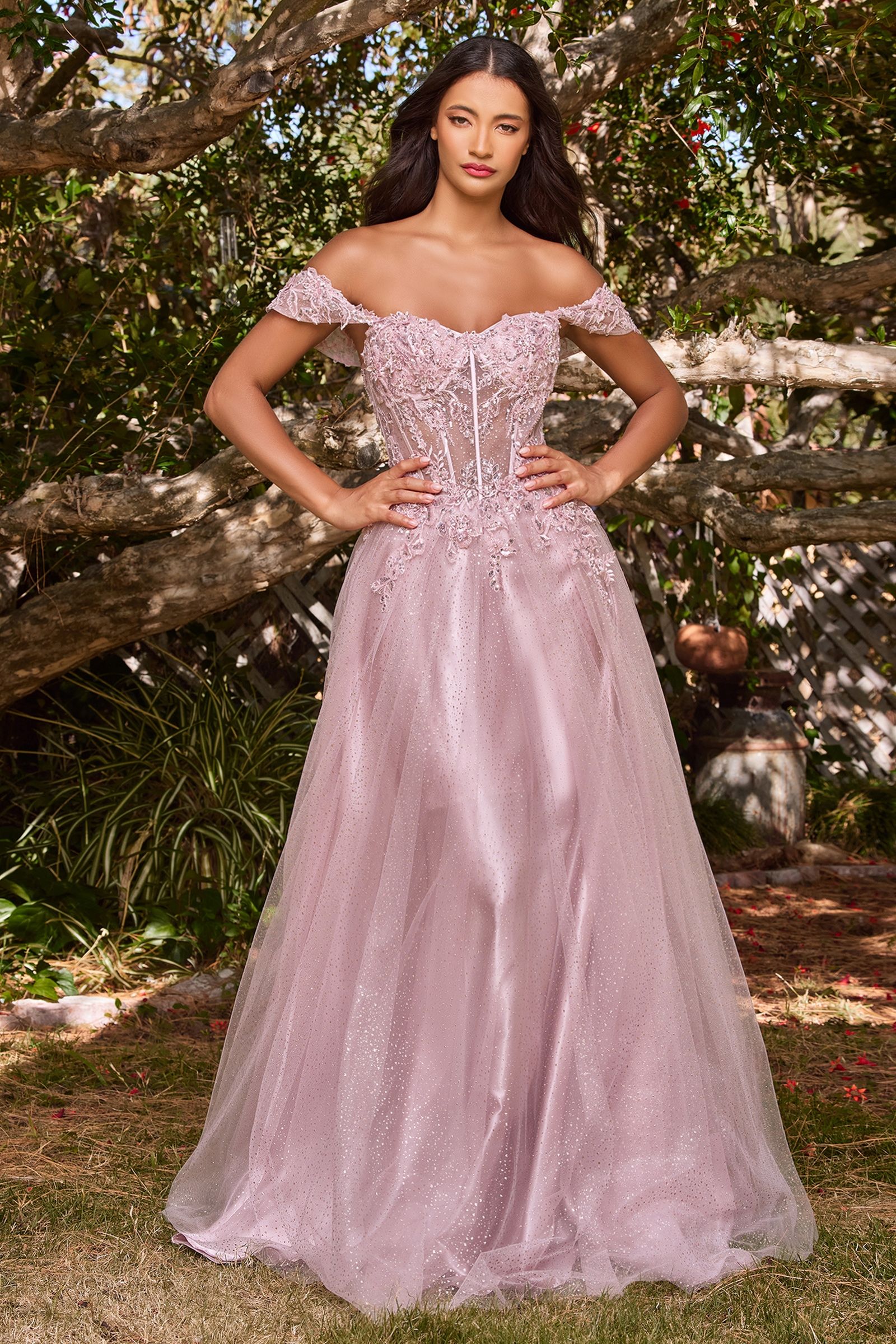 Lace A-Line Gown With Off The Shoulder Sleeves By Cinderella Divine -CD0198