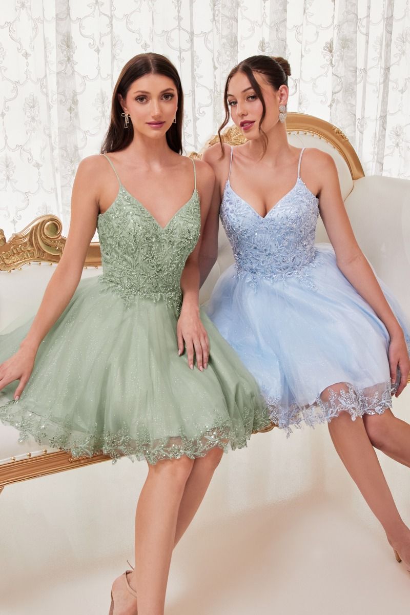 Short A-Line Lace & Tulle Dress By Cinderella Divine -CD0213