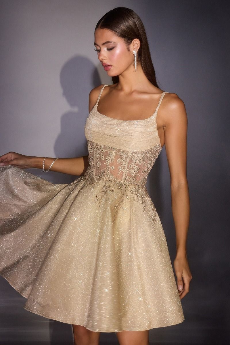 Cinderella Divine -KV1152 Glitter Short Sleeveless A-line Dress