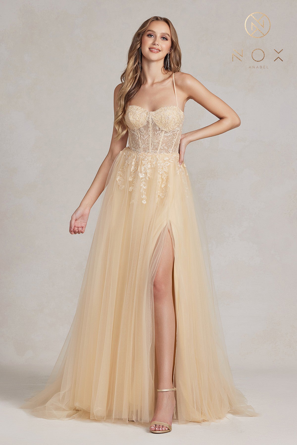 Floral Applique A-Line Dress By Nox Anabel -J1089