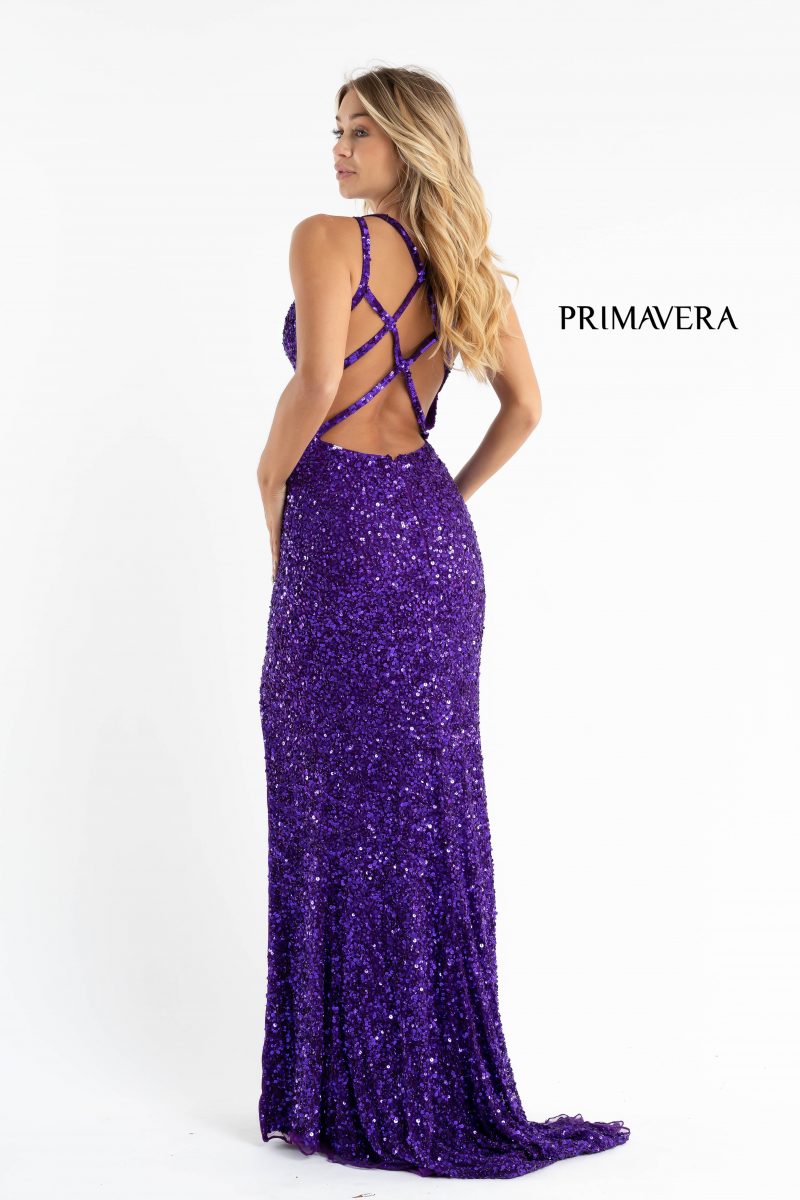 Crisscross Straps Sleeveless Gown By Primavera Couture -3768
