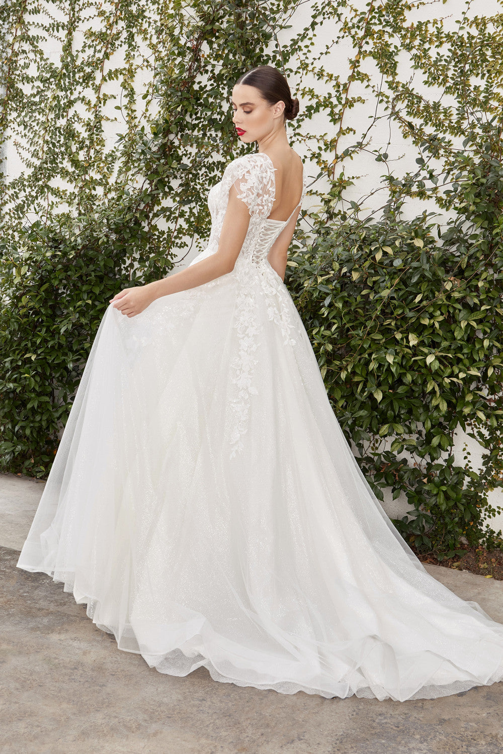 Lace Applique Cap Sleeve A-Line Dress By Andrea And Leo -A1082W