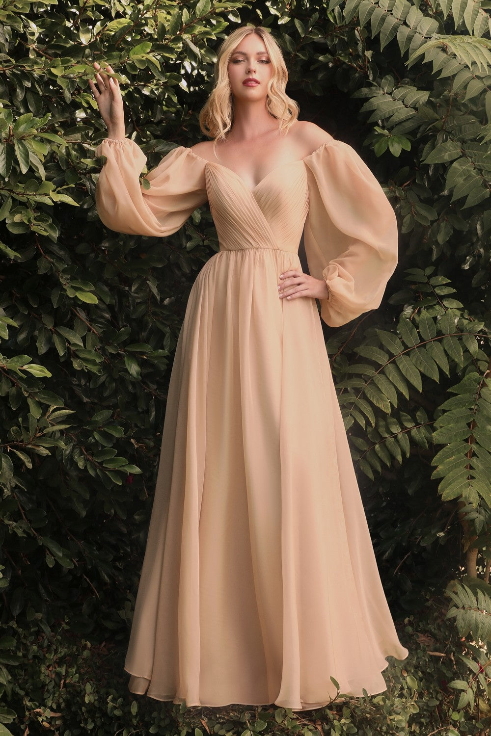 Long Sleeve Chiffon Gown By Cinderella Divine -CD243