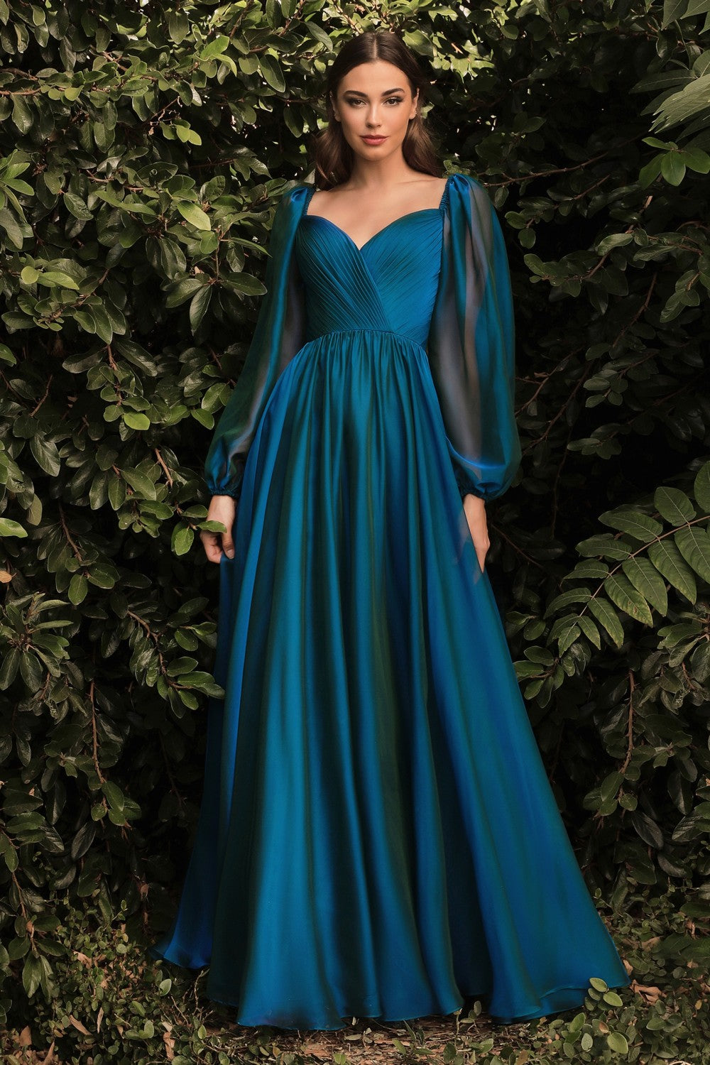 Long Sleeve Chiffon Gown By Cinderella Divine -CD243