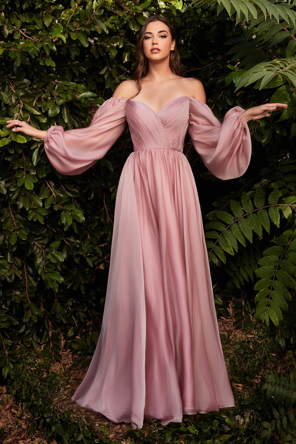 Long Sleeve Chiffon Gown By Cinderella Divine -CD243