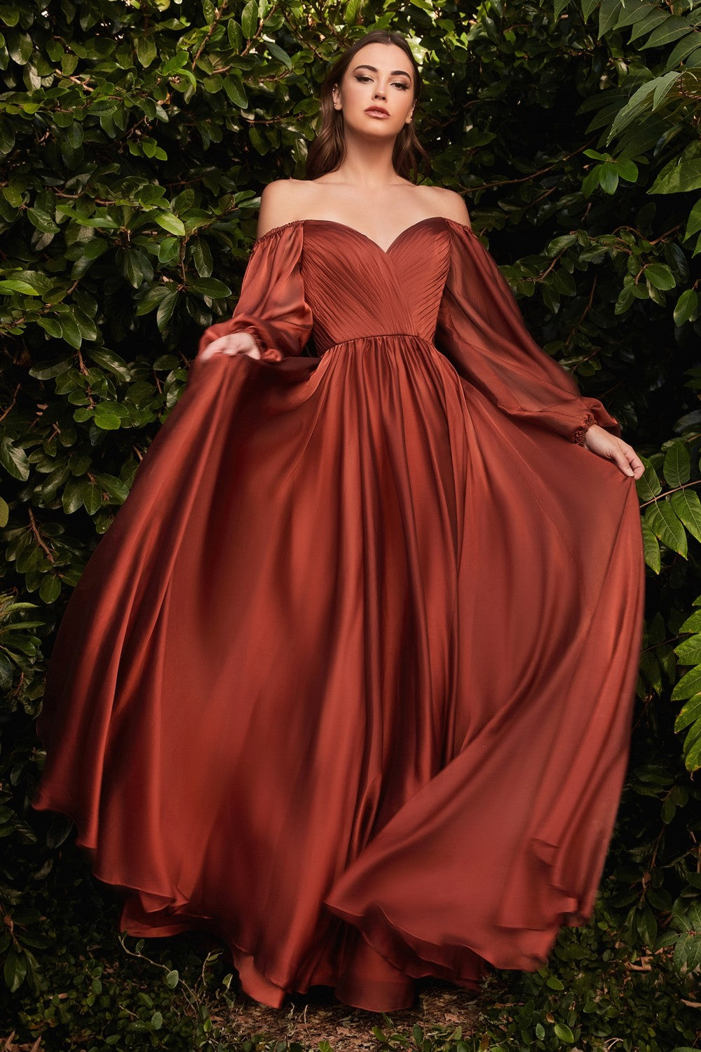 Long Sleeve Chiffon Gown By Cinderella Divine -CD243