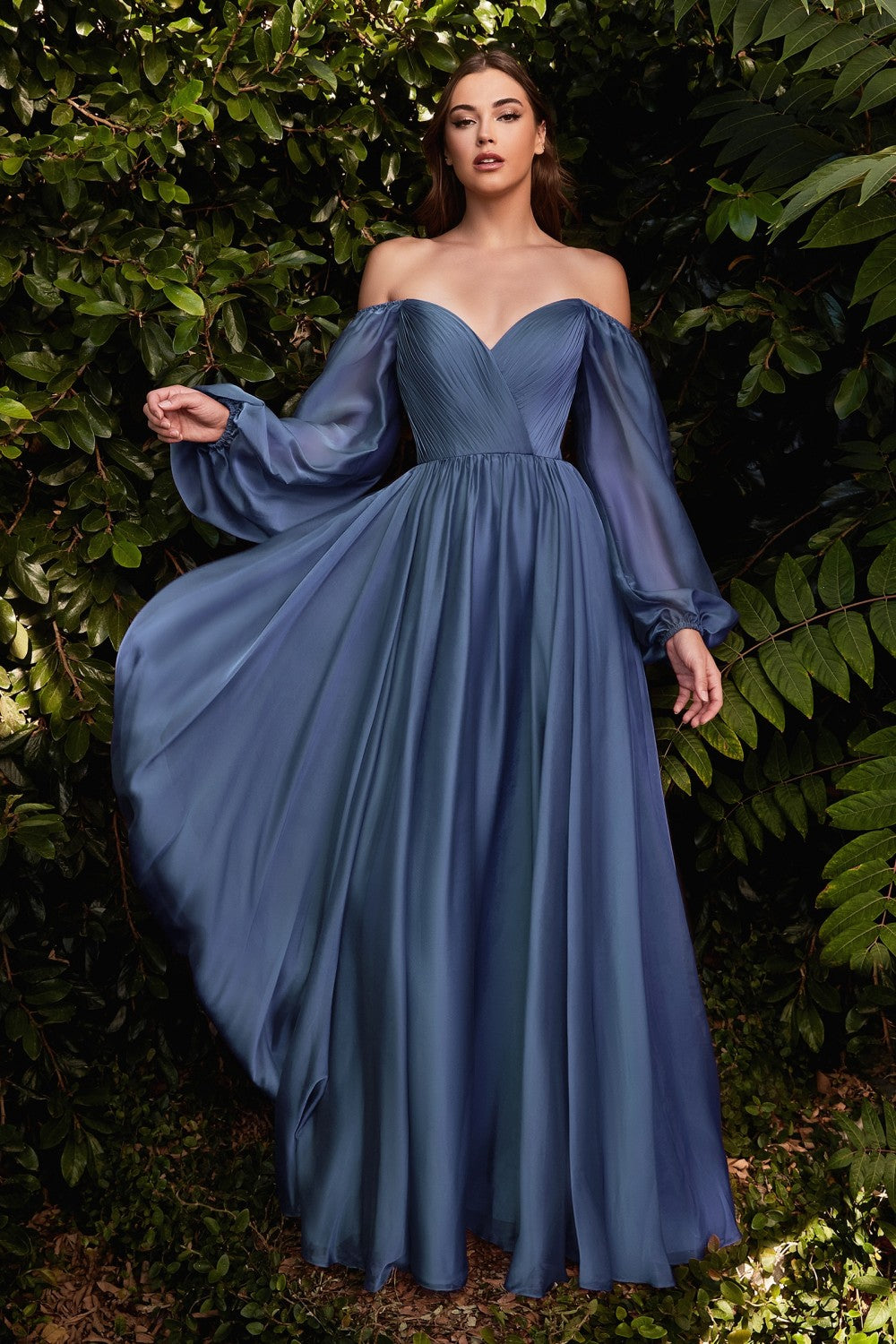 Long Sleeve Chiffon Gown By Cinderella Divine -CD243