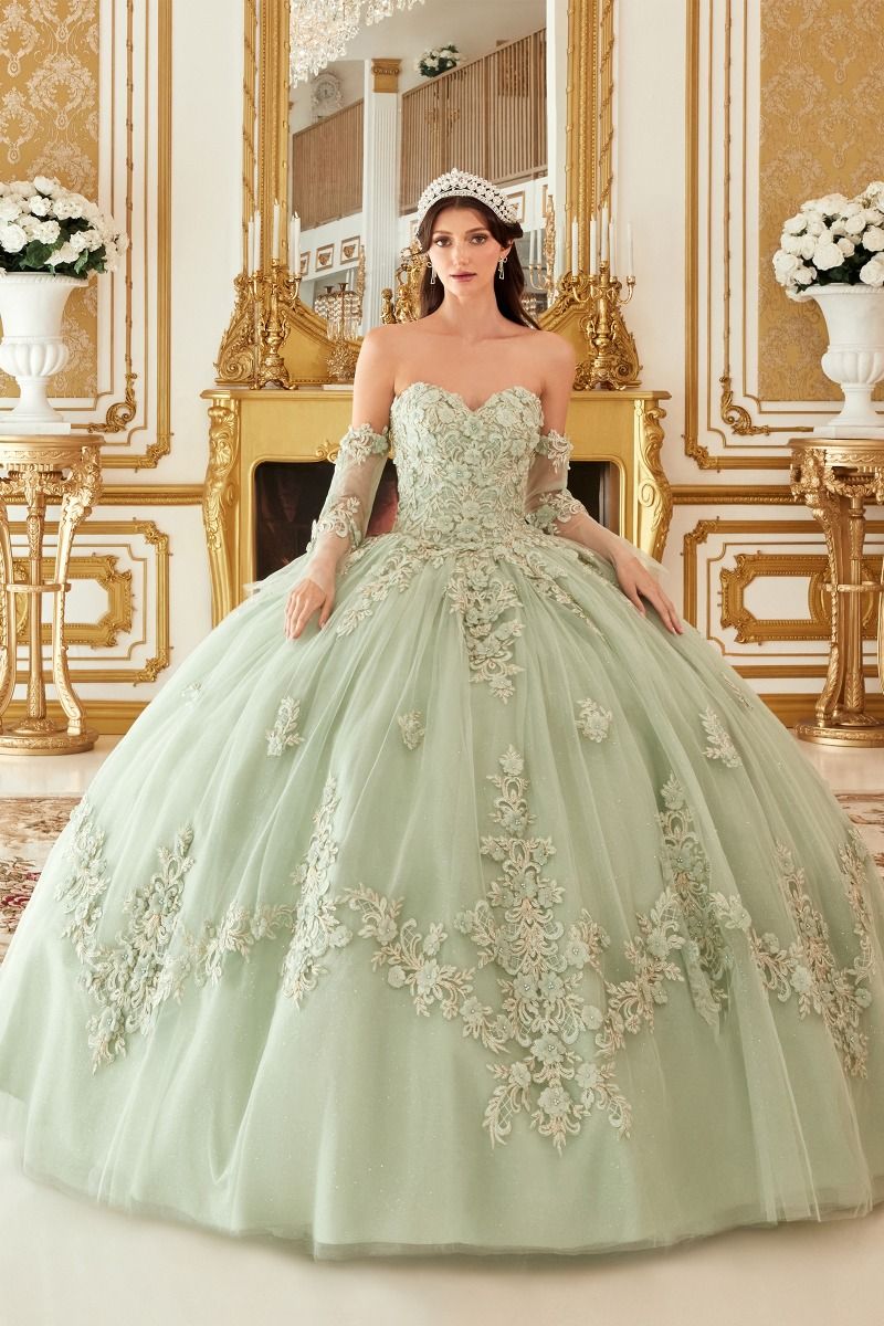 Layered Tulle Ball Gown With Floral Applique By Cinderella Divine -15714