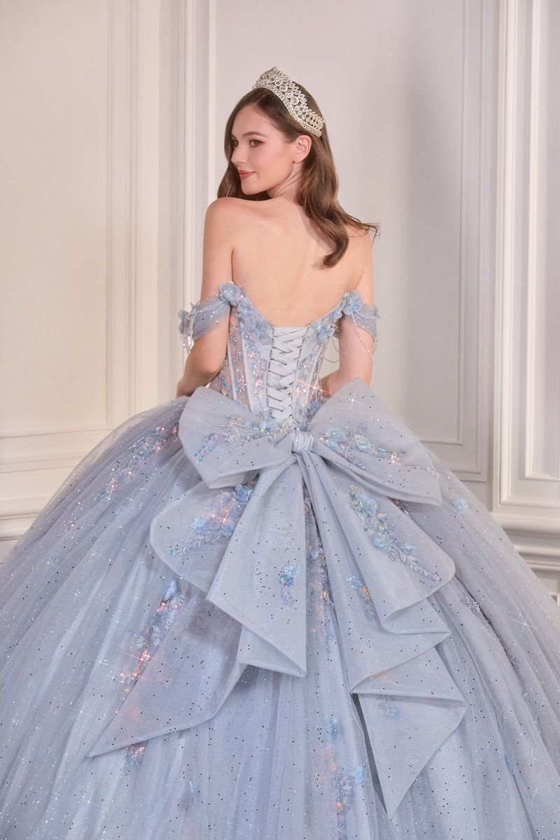 Cinderella Divine -15728 Off shoulder ball gown with sheer corset bodice and 3D floral applique