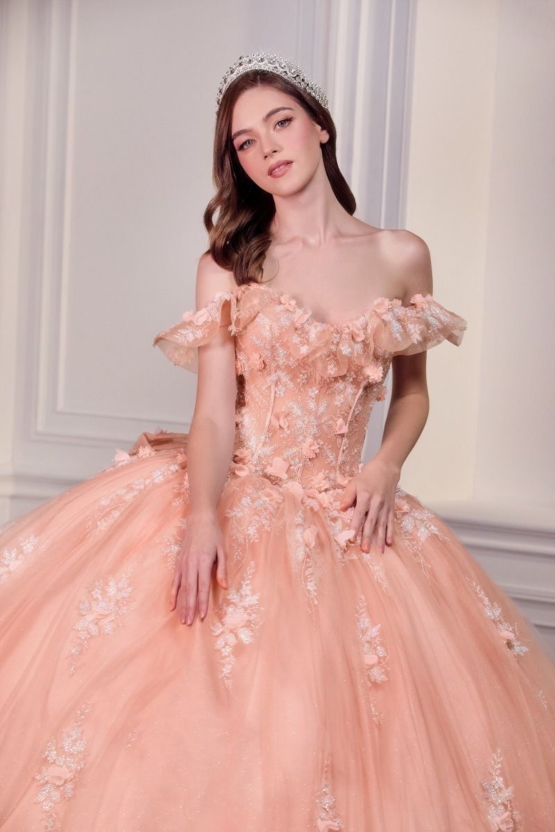 Cinderella Divine -15731 Floral Off Shoulder Ball Gown