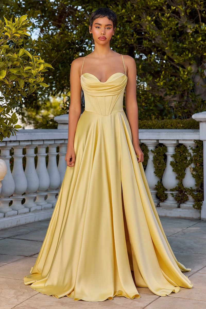 Cinderella Divine -7481 Pleated neckline A-Line Gown