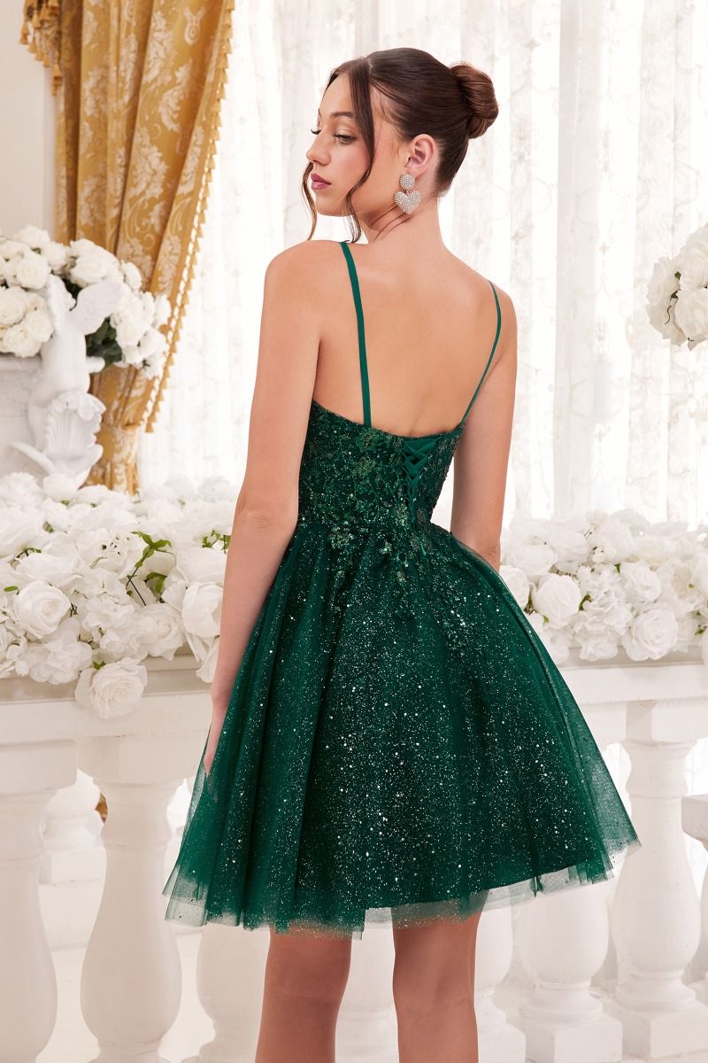A-Line Cocktail Dress With Floral Details By Cinderella Divine -9245