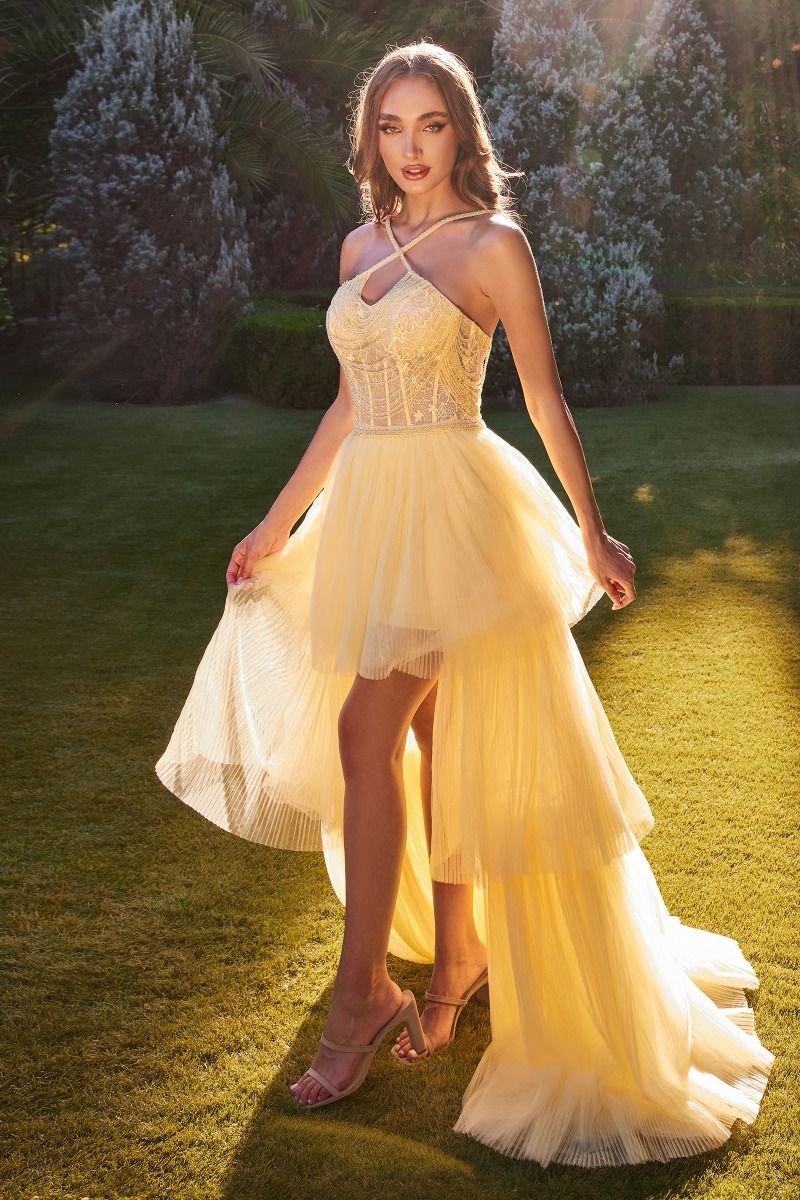 Andrea And Leo -A1239 Halter Neck High Low Gown