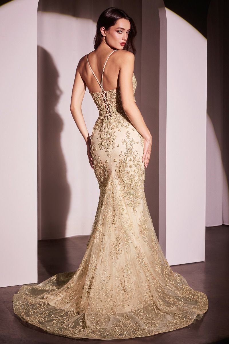 Cinderella Divine -CC2403 Pearl & Lace Embellished Fit & Flar Gown
