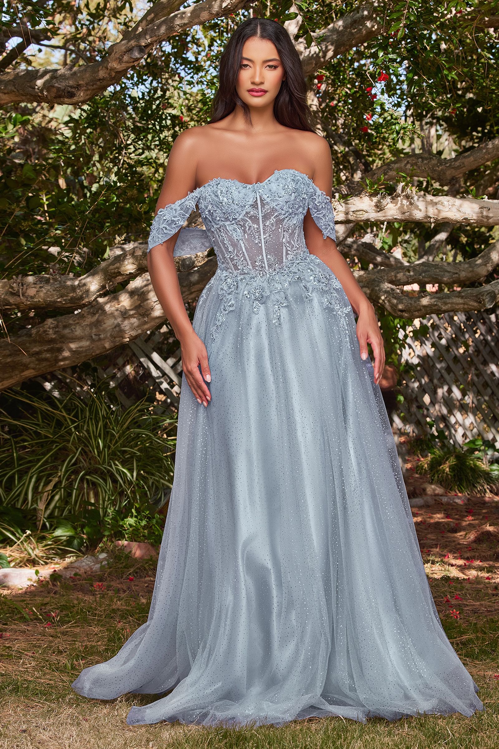 Lace A-Line Gown With Off The Shoulder Sleeves By Cinderella Divine -CD0198