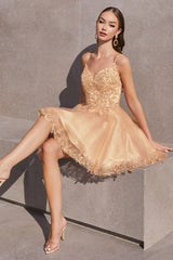 Short A-Line Lace & Tulle Dress By Cinderella Divine -CD0213