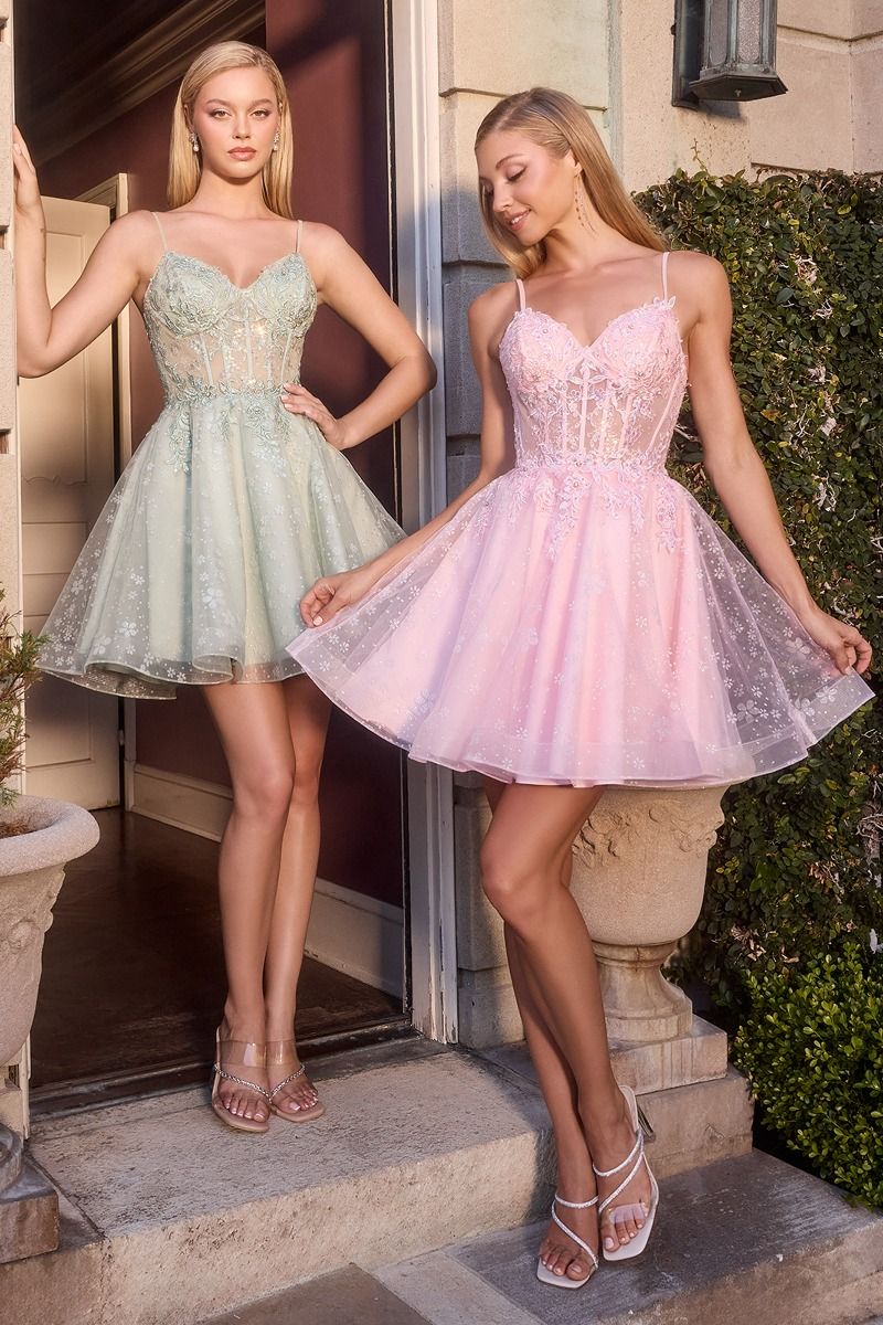Cinderella Divine -CJ419 Applique Short Sleeveless A-line Dress