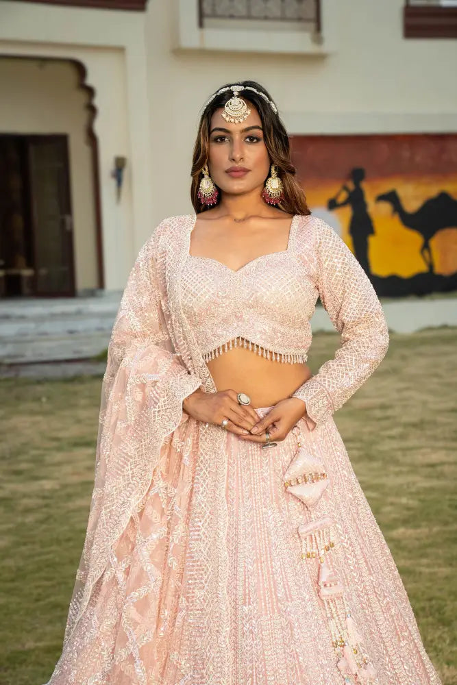MyFashion -KLS-1154 Princess Look With This Pink Net Lehenga With Dupatta