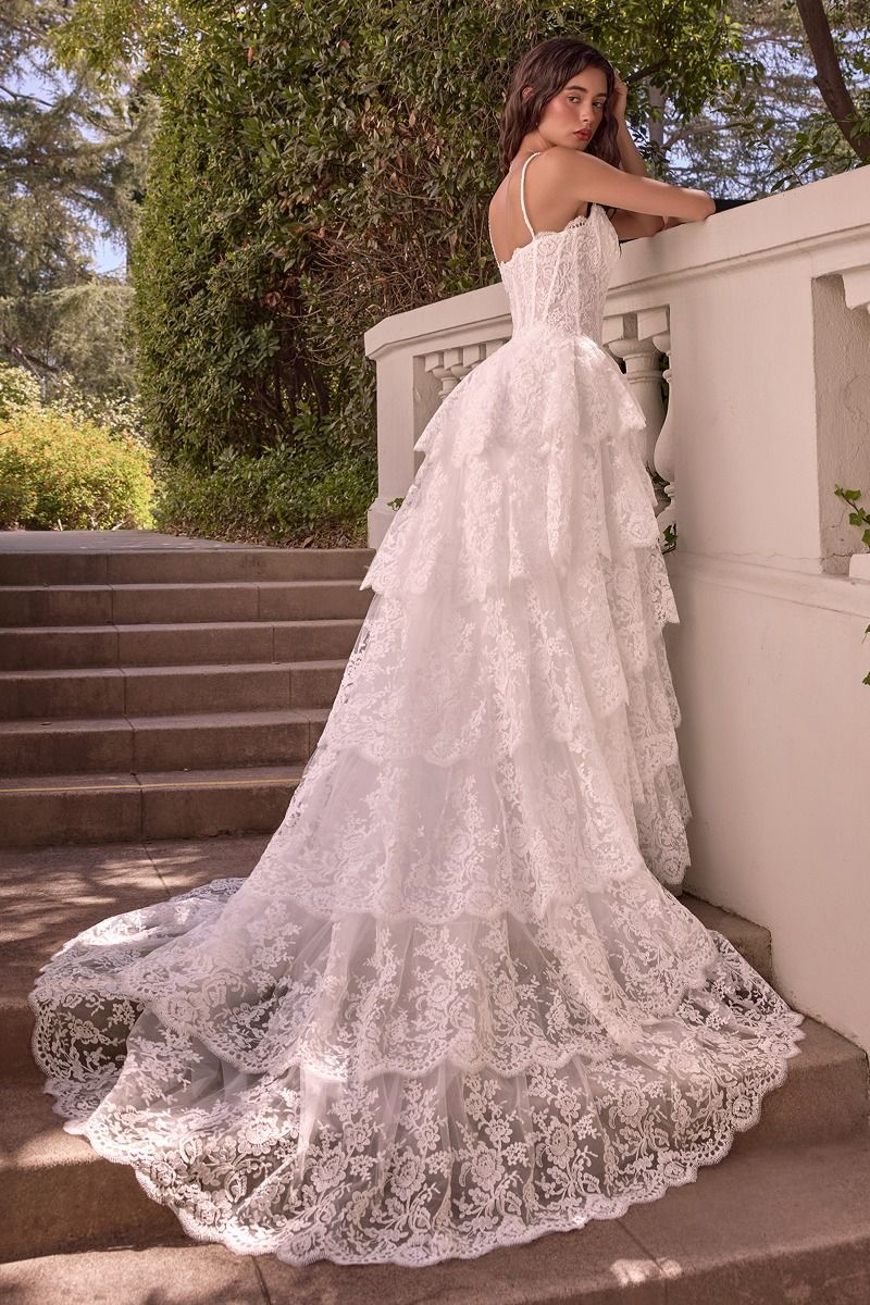 Andrea and Leo -WL076 Lace Sleeveless Sweetheart Layered A-line Gown
