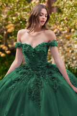 Off The Shoulder Floral Quince Ball Gown By Cinderella Divine -15702