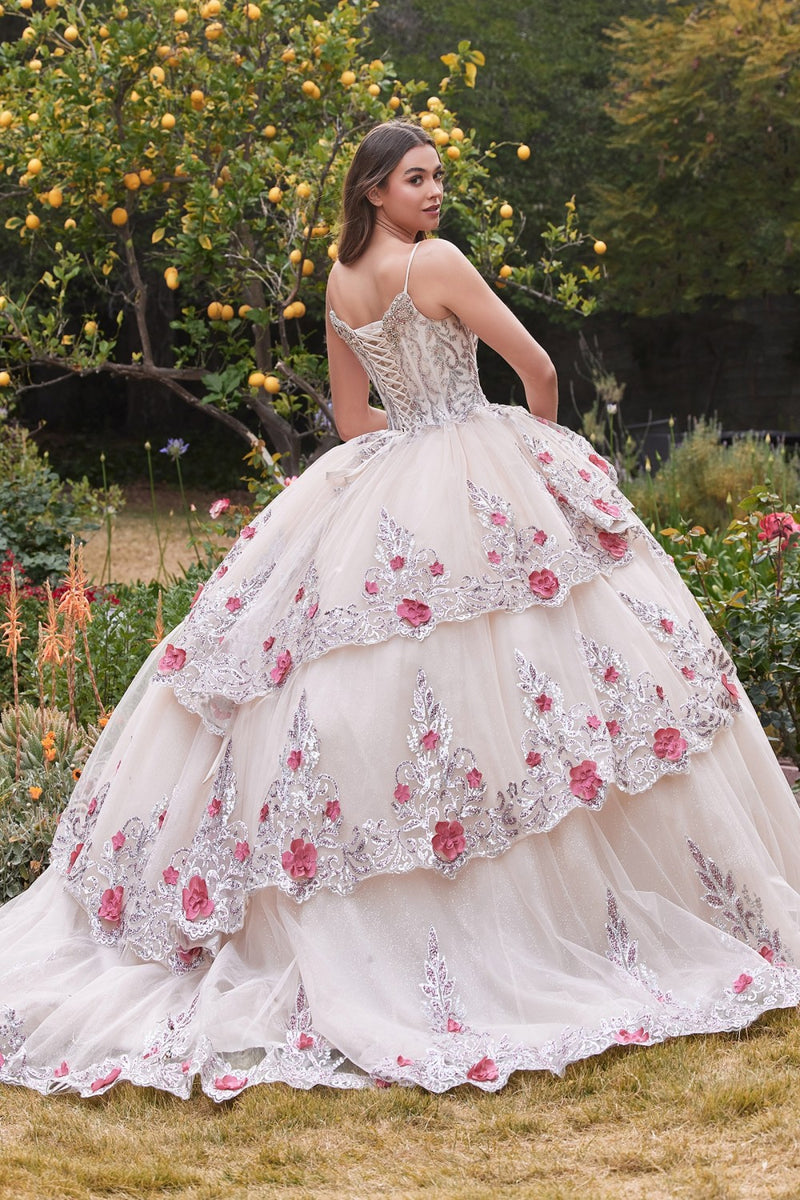 Layered Tulle Ball Gown With Foral Applique By Cinderella Divine -15703