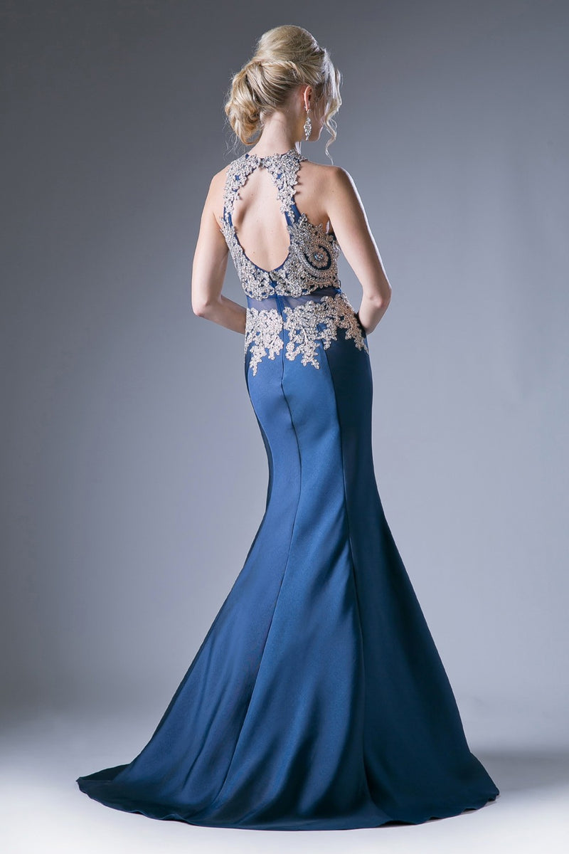 Fitted Mermaid Gown With Lace Halter Neckline And Embelished Details by Cinderella Divine -8934