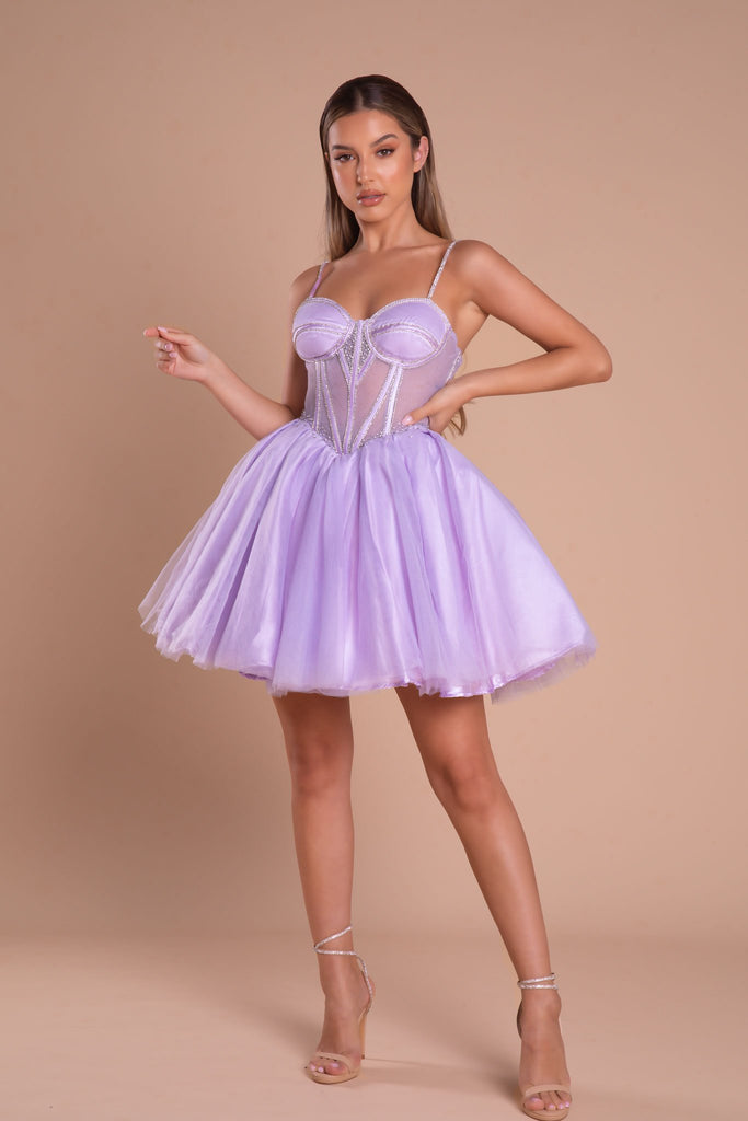 Sheer Corseted Bodice Short Dress By Portia And Scarlett -PS21133