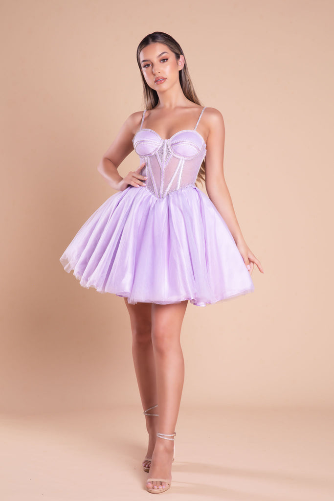 Sheer Corseted Bodice Short Dress By Portia And Scarlett -PS21133