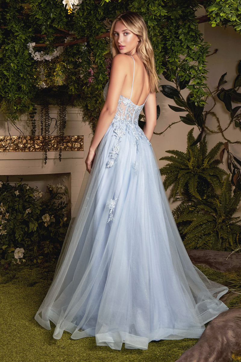 Floral Applique Long Sleeveless Corset Dress With A-Line Skirt By Andrea And Leo -A1049