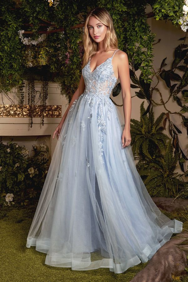 Floral Applique Long Sleeveless Corset Dress With A-Line Skirt By Andrea And Leo -A1049