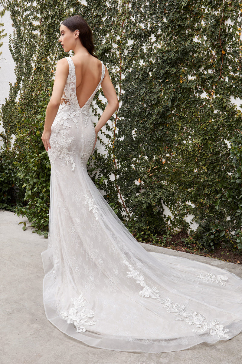Long Sleeveless Lace Dress With Fitted Skirt By Andrea And Leo -A1072W