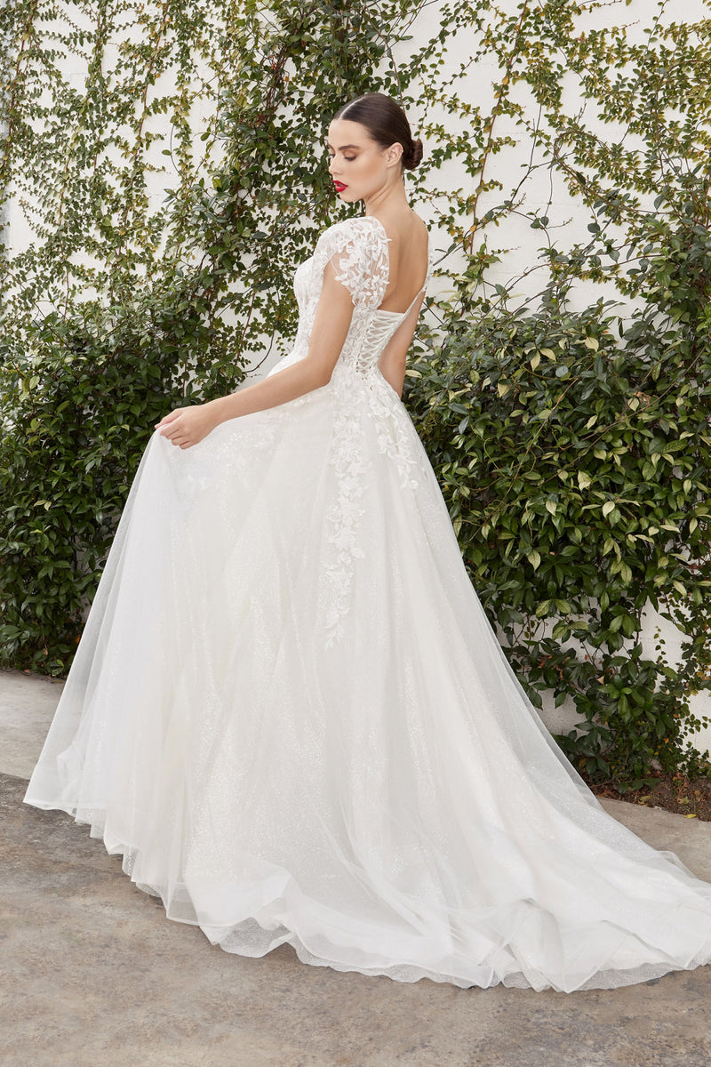 Lace Applique Cap Sleeve A-Line Dress By Andrea And Leo -A1082W