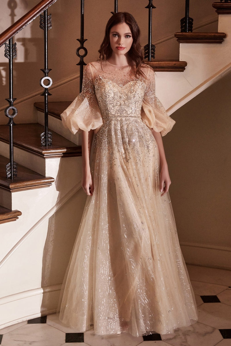 Puff Mid-Sleeve Tulle Gown By Cinderella Divine -B703