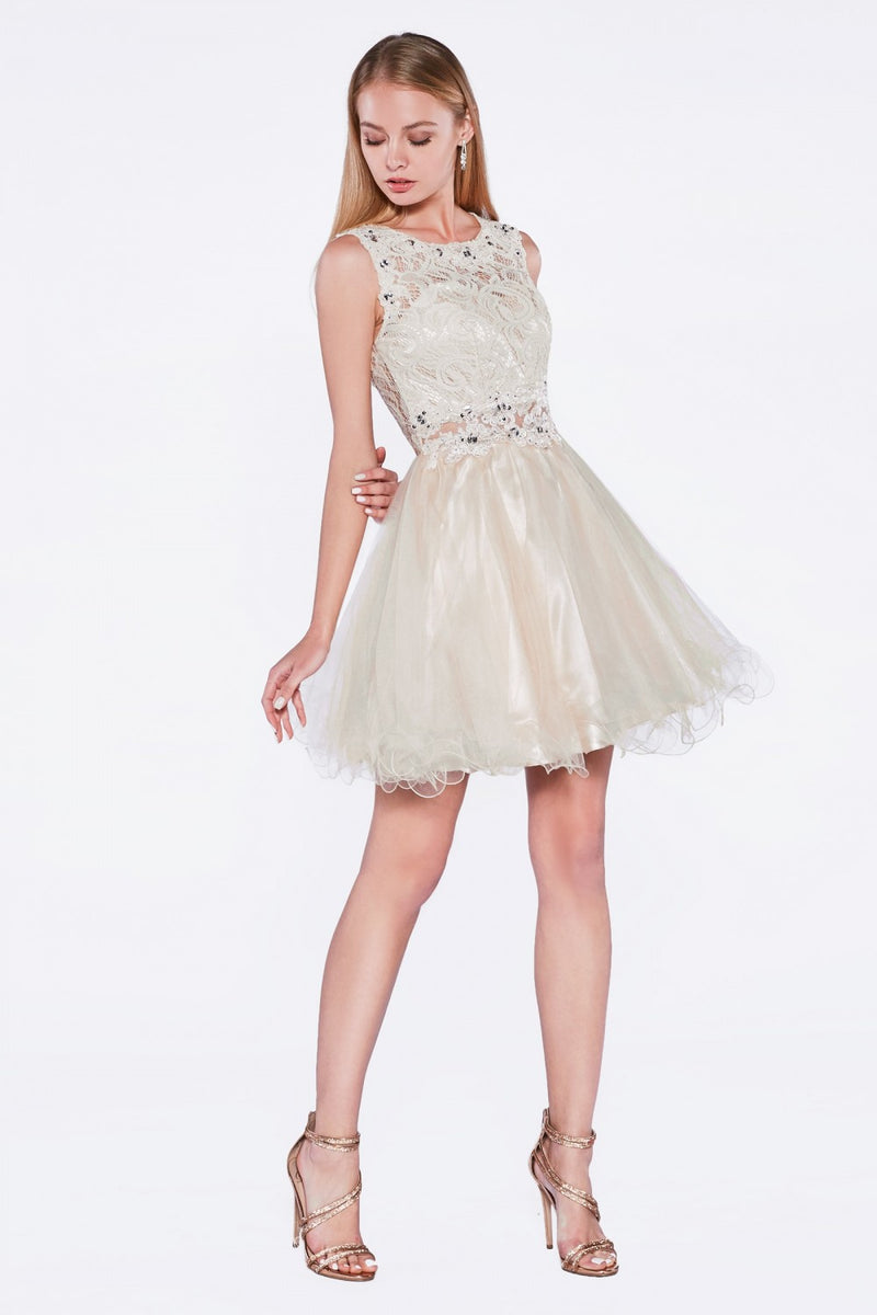 A-Line Short Dress With High Lace Neckline And Layered Skirt by Cinderella Divine -CD0117