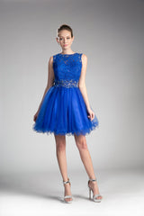A-Line Short Dress With High Lace Neckline And Layered Skirt by Cinderella Divine -CD0117