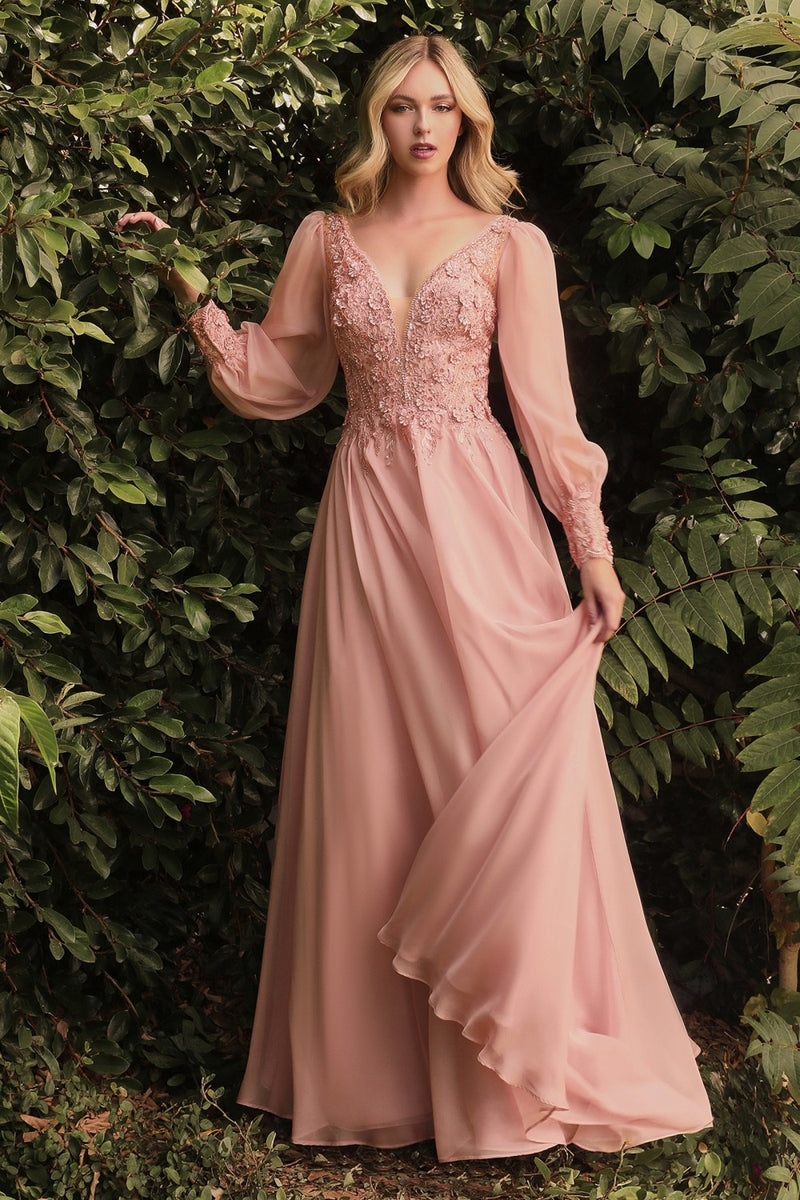 Long Sleeve Chiffon Gown By Cinderella Divine -CD0183