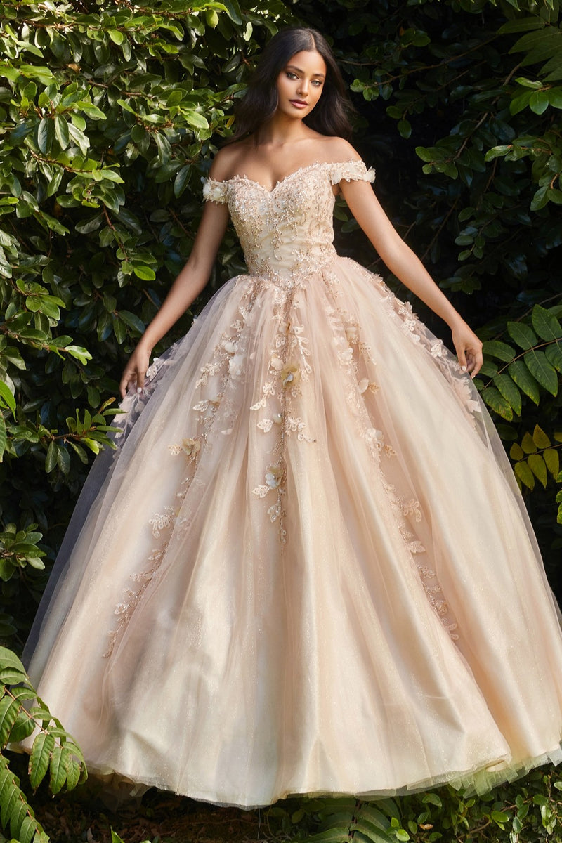 Off The Shoulder Layered Tulle Ball Gown By Cinderella Divine -CD0185