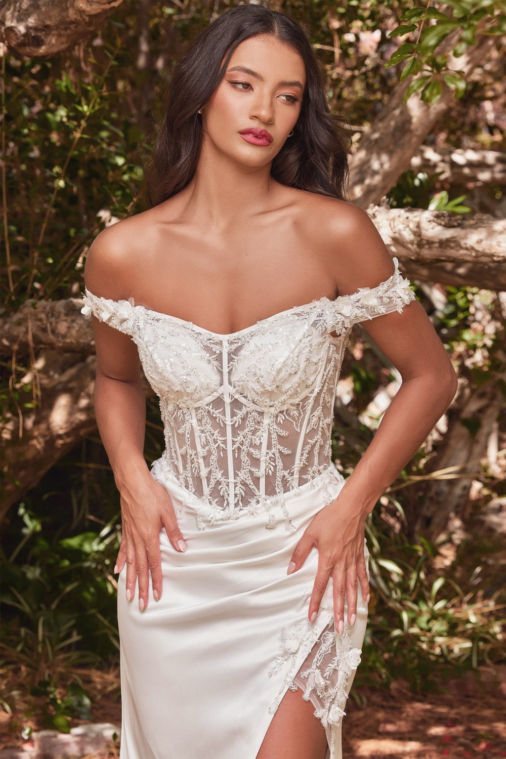 Off The Shoulder Lace Bodice Fitted Gown By Cinderella Divine -CD0186W