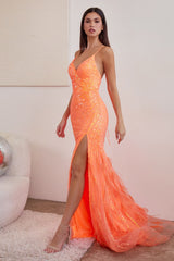 Fitted Sequin Gown With Feather Applique By Cinderella Divine -CD0209