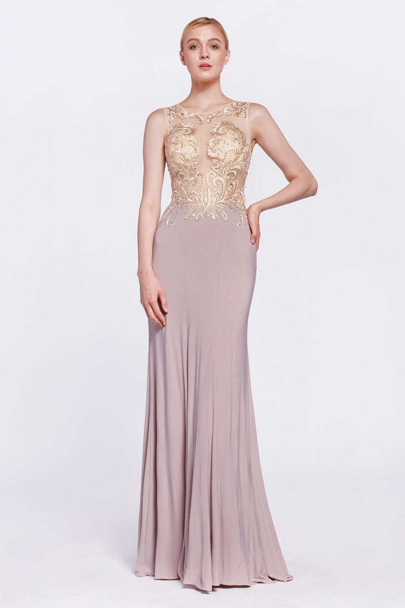 Sheer Fitted Sleeveless Evening Dress by Cinderella Divine -43