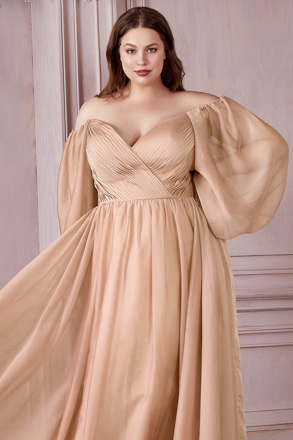 Curve Long Sleeve Chiffon Gown By Cinderella Divine -CD243C