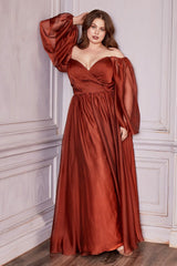 Curve Long Sleeve Chiffon Gown By Cinderella Divine -CD243C