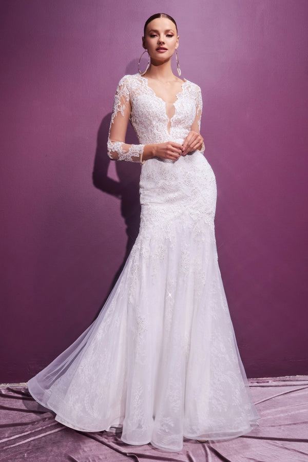 Long Sleeve Lace Bridal Gown By Cinderella Divine -CD951W