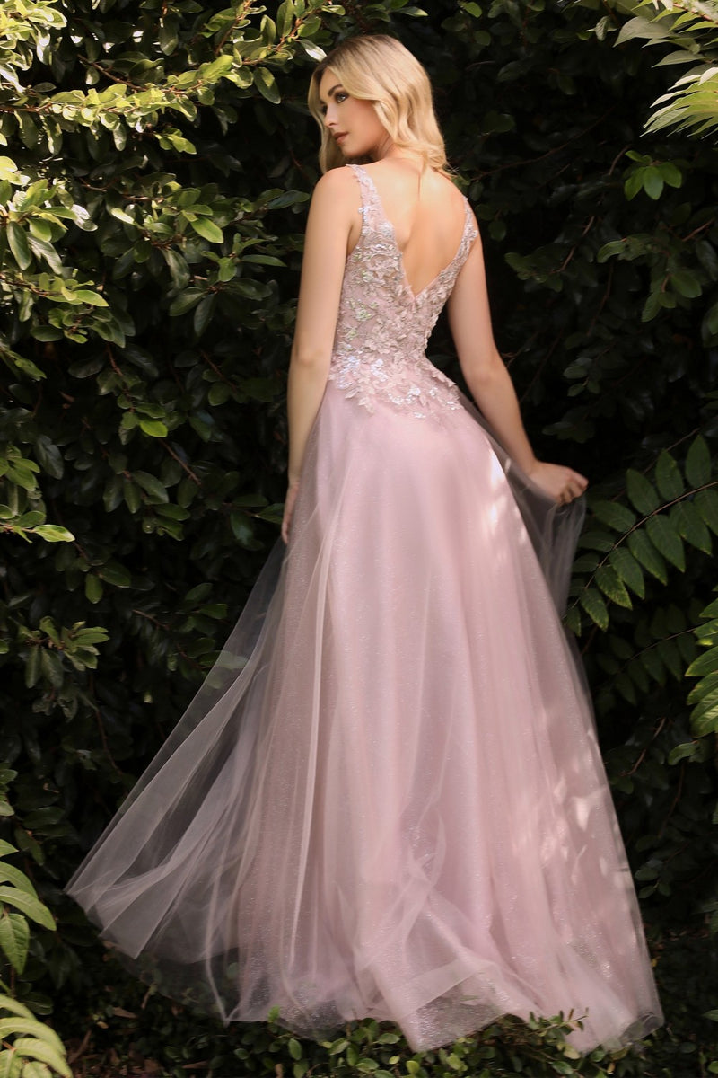 Floral Applique A-Line Dress By Cinderella Divine -CDS409