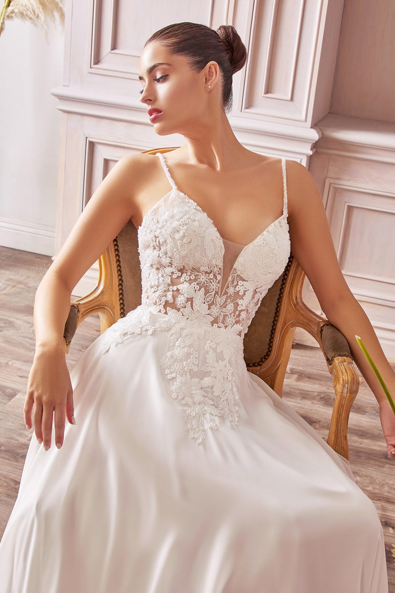 Applique A-Line Chiffon Gown By Cinderella Divine -TY11