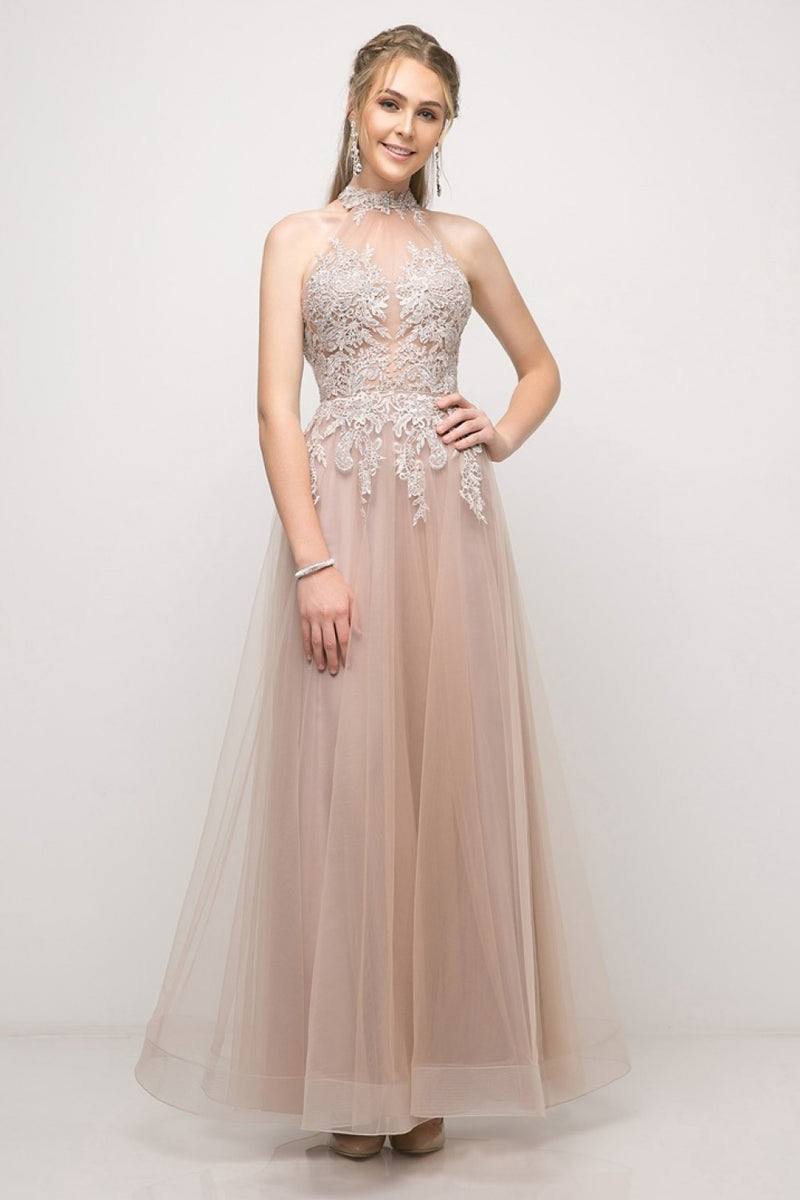 A-Line Gown With Halter Neckline And Embellished Lace Dress By Cinderella Divine -UT252